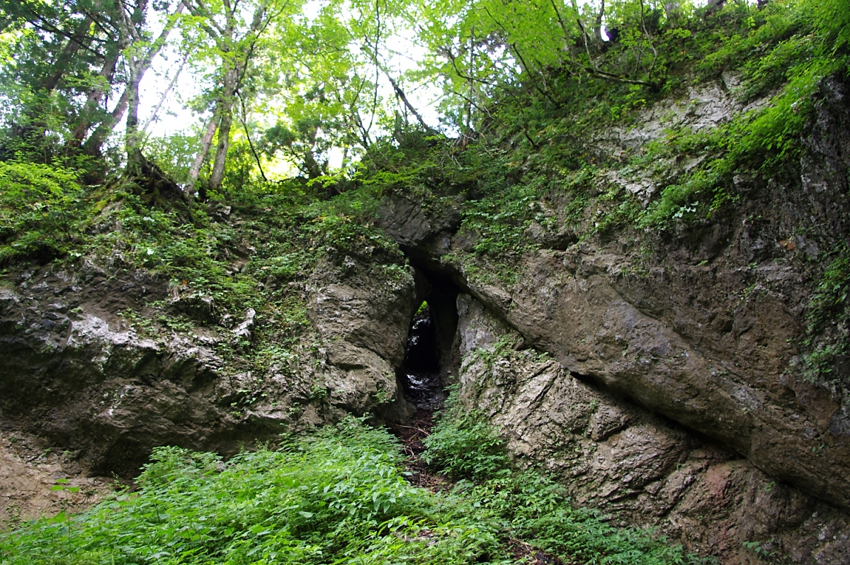 ドリーネの側壁には、古い鍾乳洞の残骸らしき地形も