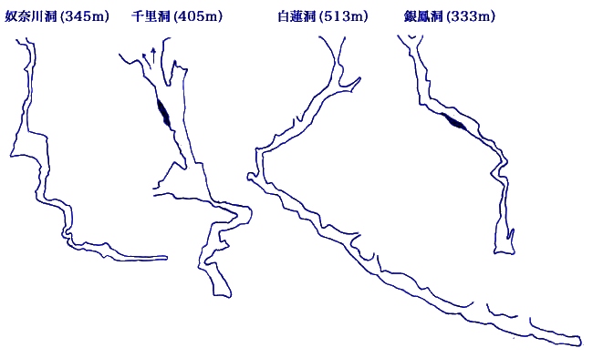 深さ日本第1位から第4位までの鍾乳洞が、マイコミ平の狭い範囲に存在している。