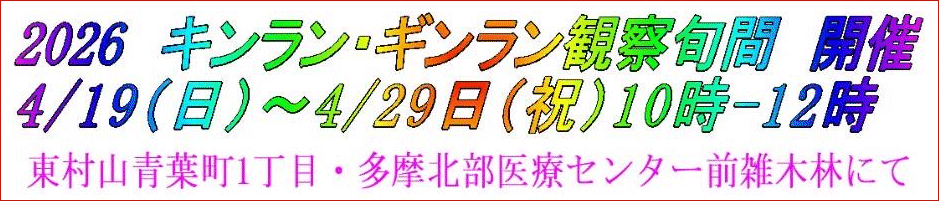 2026 キンラン・ギンラン観察会のお知らせ